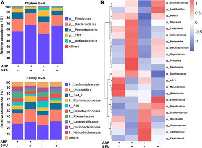 Albuca Bracteate Polysaccharides Synergistically Enhance the Anti-Tumor Efficacy of 5-Fluorouracil Against Colorectal Cancer by Modulating β-Catenin Signaling and Intestinal Flora